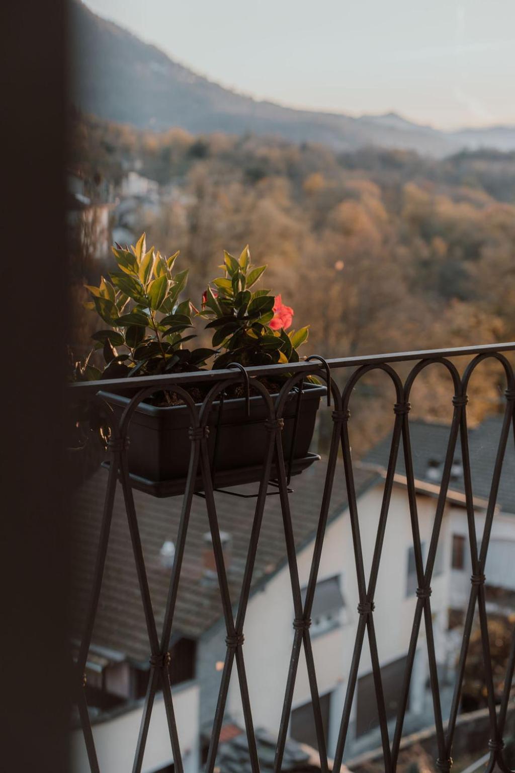 Guesthouse Giulietta E Romeo Cossogno Exteriér fotografie